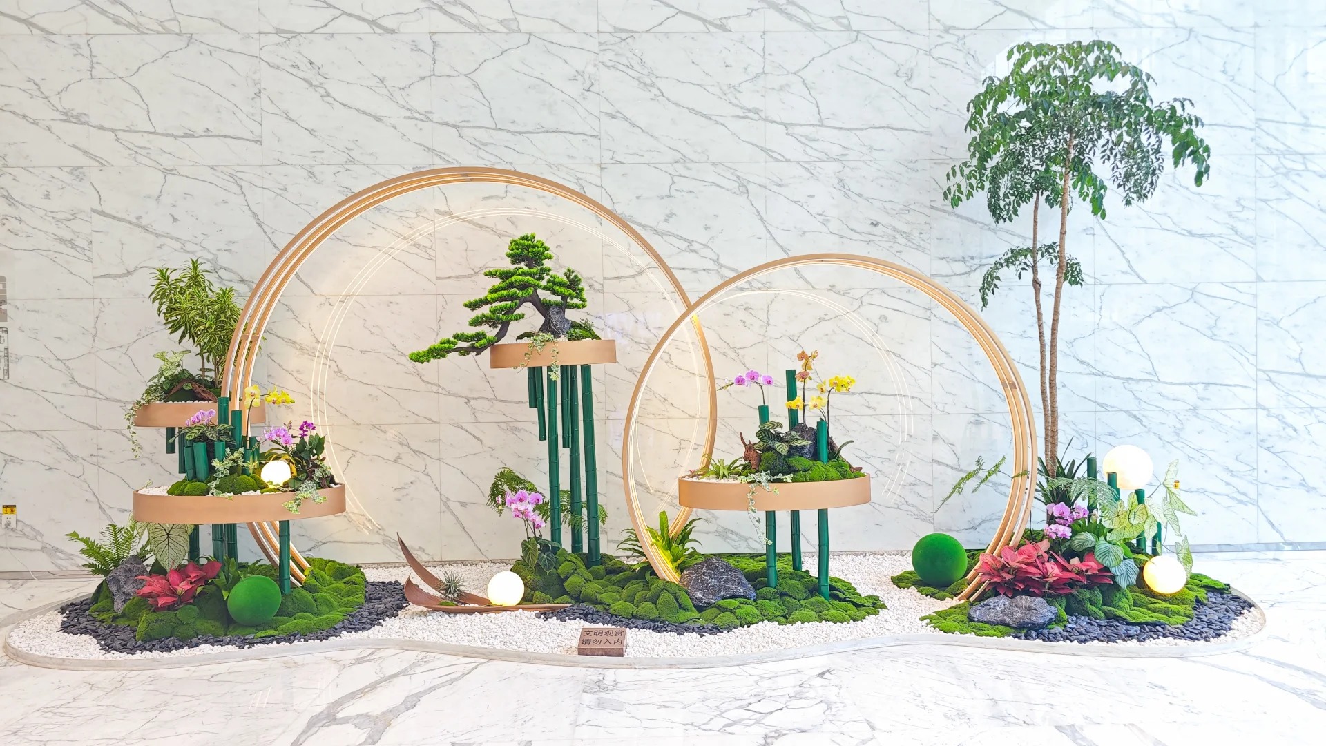 专业植物租赁，前湾地区的绿色新选择