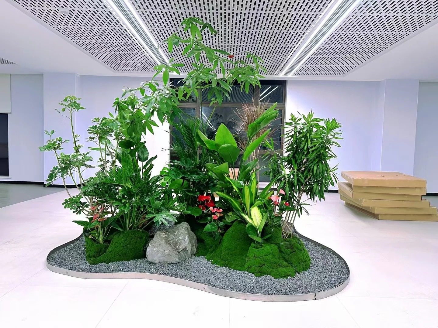 专业的前湾盆景租赁，让空间瞬间变优雅