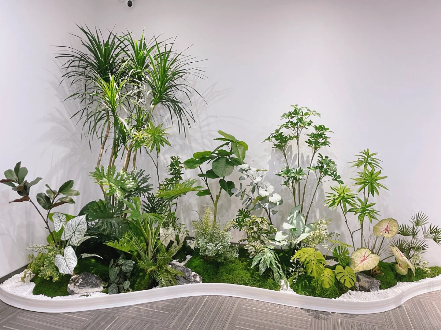 专业的前湾盆景租赁，让空间瞬间变优雅