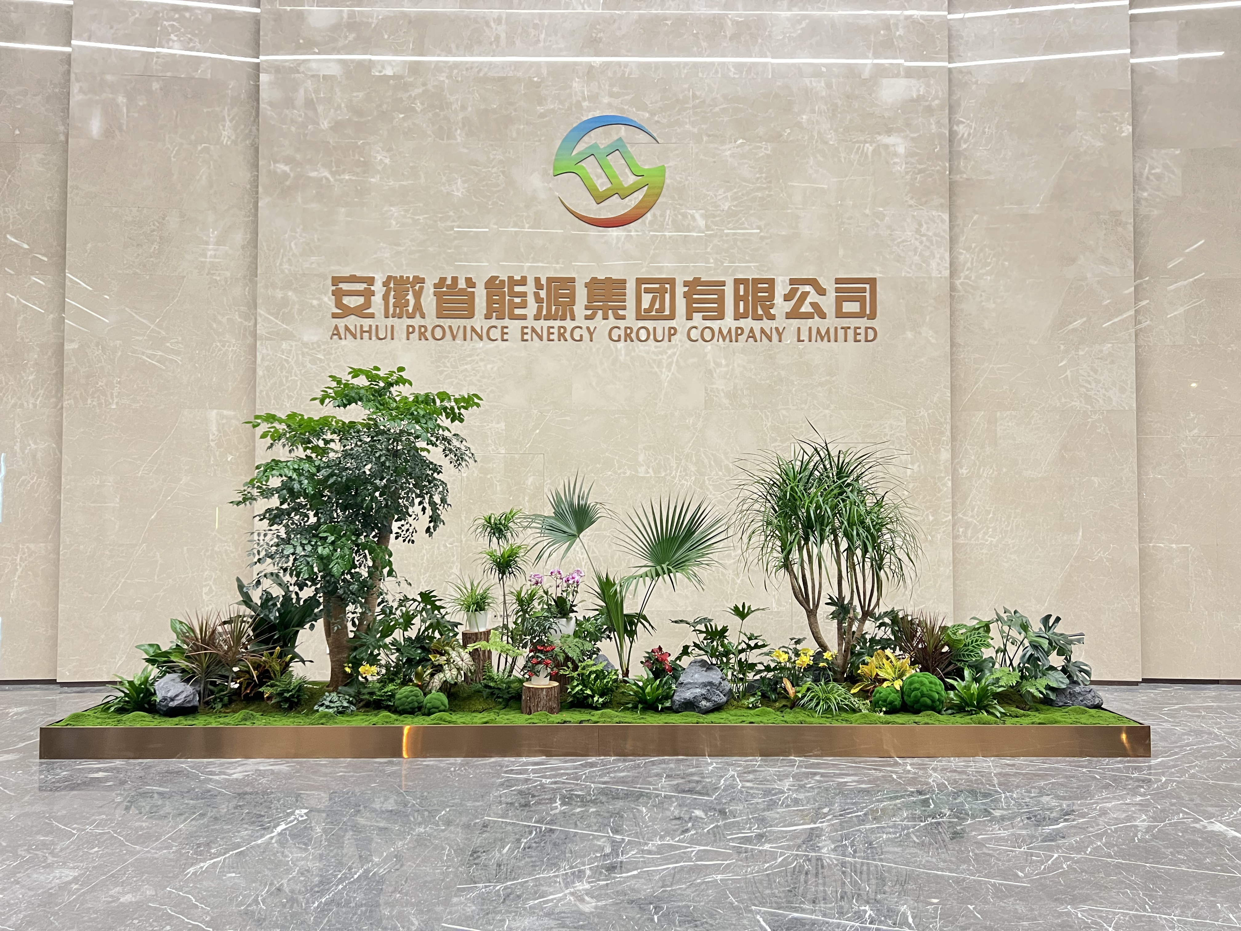 专业北仑花卉租摆，为您的空间添一抹自然清新色彩